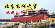 美女操逼乳巴中国北京-东城古宫旅游风景区